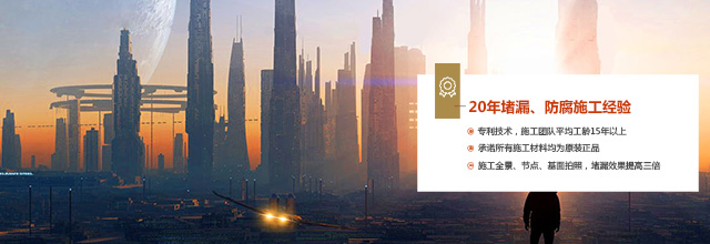 亚洲精品久久国产高清情趣