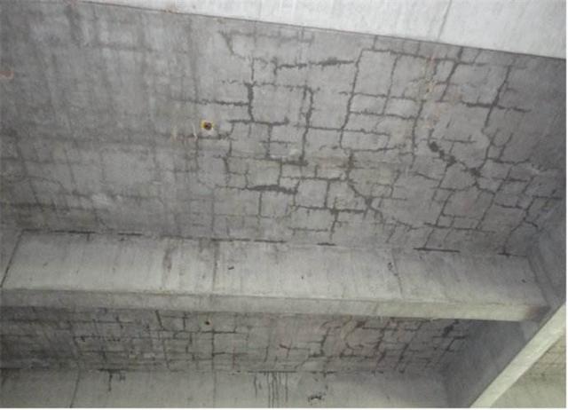 亚洲精品久久国产高清情趣