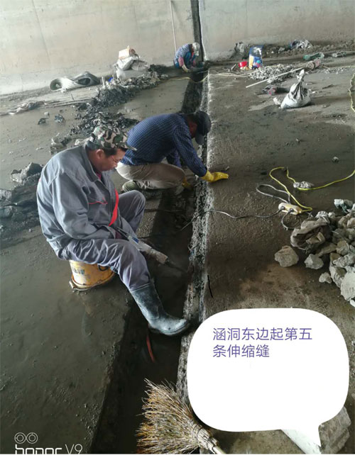 亚洲精品久久国产高清情趣