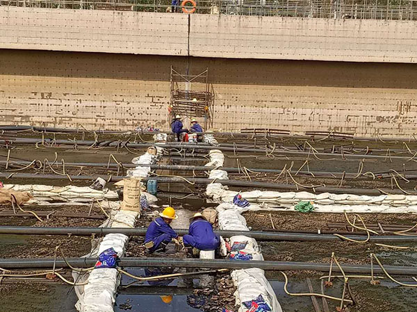 亚洲精品久久国产高清情趣