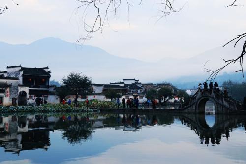 亚洲精品久久国产高清情趣