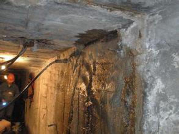 亚洲精品久久国产高清情趣