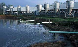 亚洲精品久久国产高清情趣