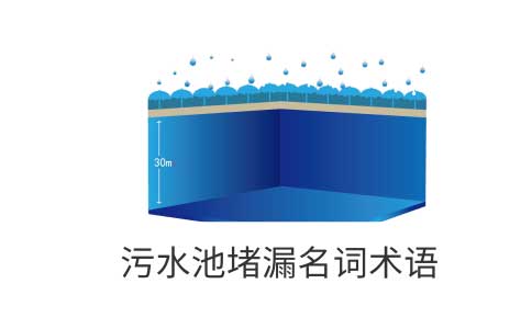 亚洲精品久久国产高清情趣