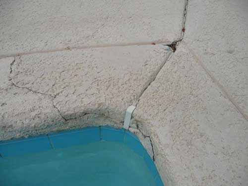 亚洲精品久久国产高清情趣