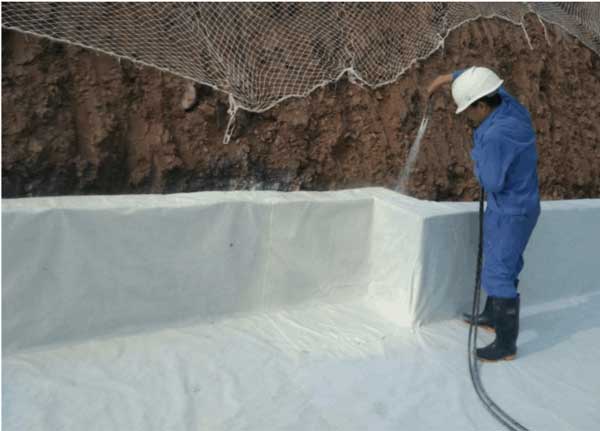 亚洲精品久久国产高清情趣