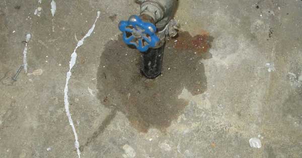 亚洲精品久久国产高清情趣