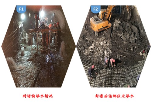 亚洲精品久久国产高清情趣