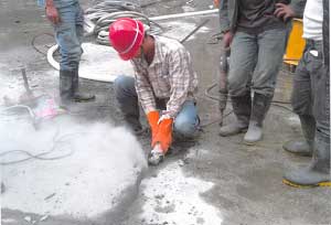 亚洲精品久久国产高清情趣