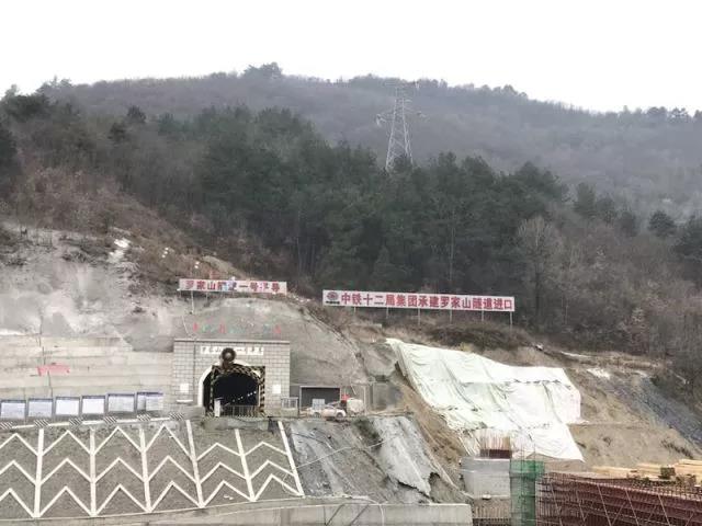 亚洲精品久久国产高清情趣