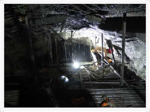 亚洲精品久久国产高清情趣