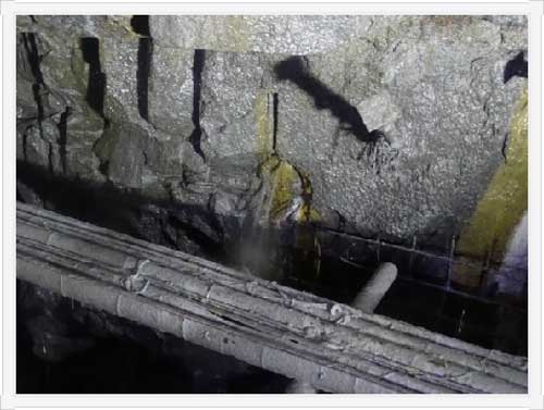 亚洲精品久久国产高清情趣