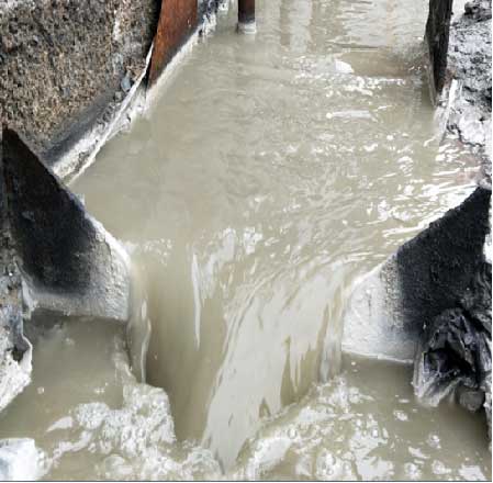 亚洲精品久久国产高清情趣