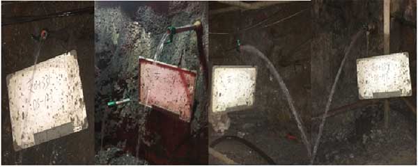 亚洲精品久久国产高清情趣