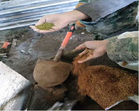 亚洲精品久久国产高清情趣