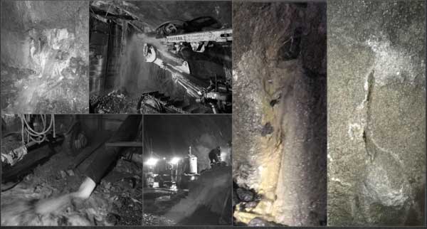 亚洲精品久久国产高清情趣