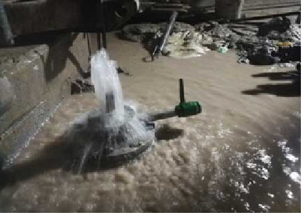 亚洲精品久久国产高清情趣