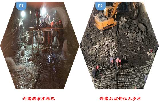 亚洲精品久久国产高清情趣