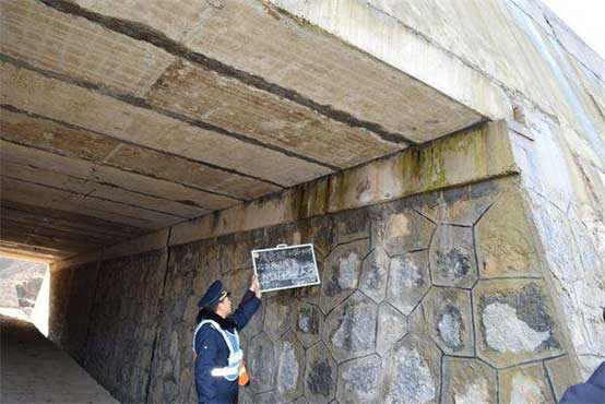 亚洲精品久久国产高清情趣