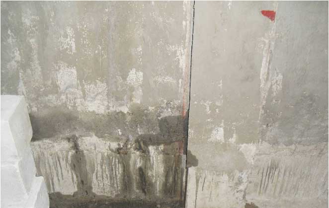 亚洲精品久久国产高清情趣