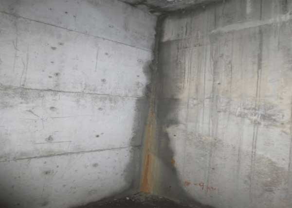 亚洲精品久久国产高清情趣