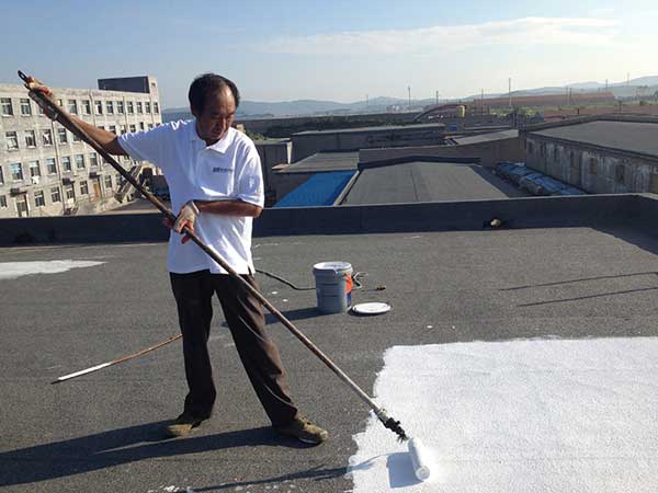 亚洲精品久久国产高清情趣