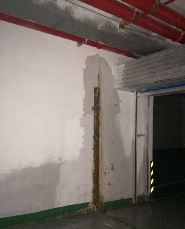 亚洲精品久久国产高清情趣