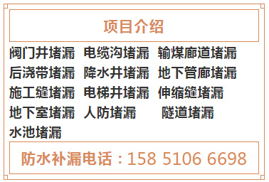 亚洲精品久久国产高清情趣