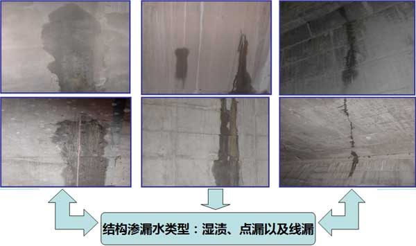 亚洲精品久久国产高清情趣