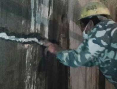 亚洲精品久久国产高清情趣