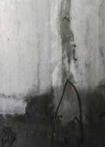 亚洲精品久久国产高清情趣