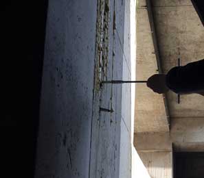 亚洲精品久久国产高清情趣