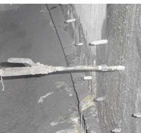 亚洲精品久久国产高清情趣