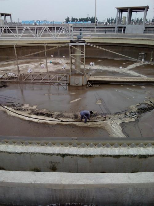 亚洲精品久久国产高清情趣