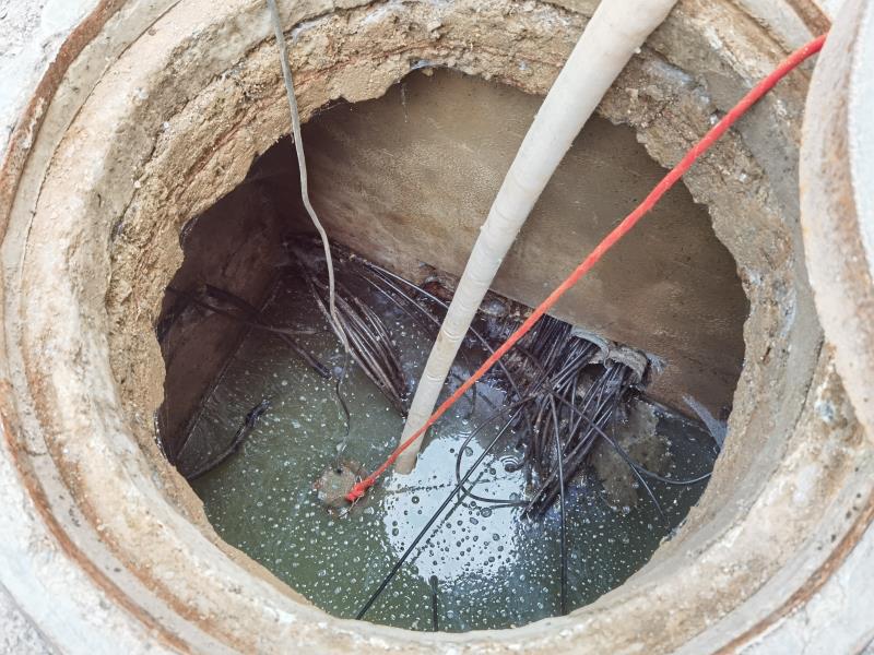 亚洲精品久久国产高清情趣