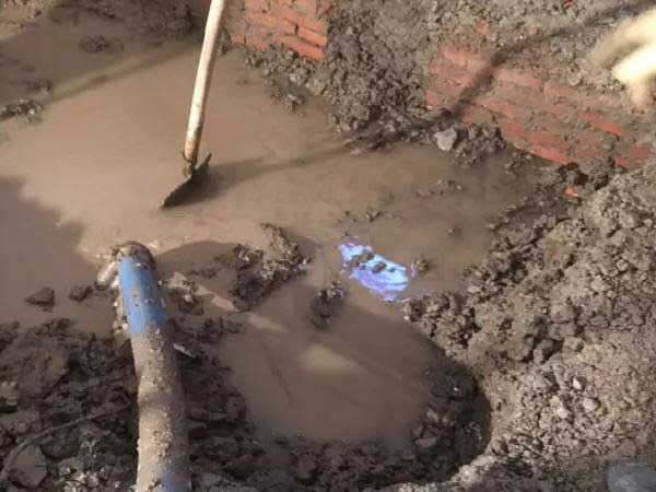 亚洲精品久久国产高清情趣