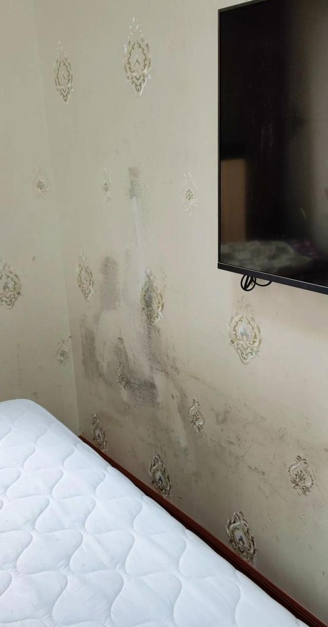 亚洲精品久久国产高清情趣