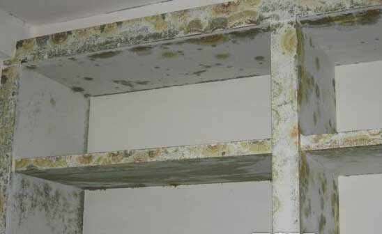 亚洲精品久久国产高清情趣