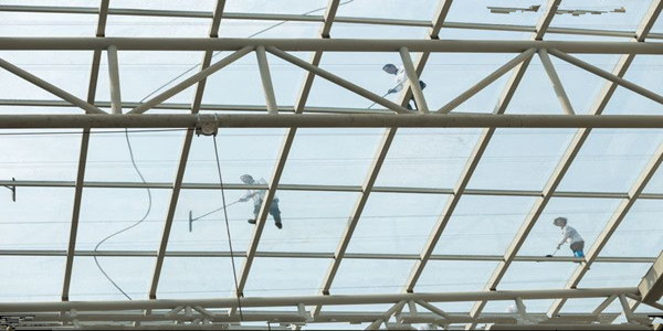 亚洲精品久久国产高清情趣