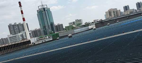 亚洲精品久久国产高清情趣