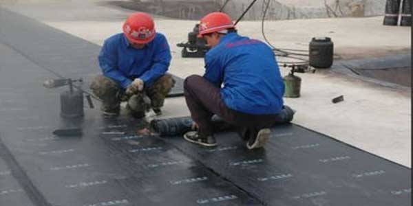 亚洲精品久久国产高清情趣