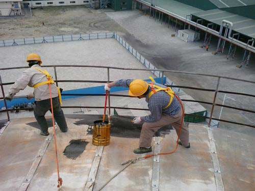 亚洲精品久久国产高清情趣