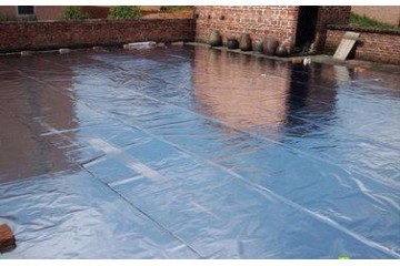 亚洲精品久久国产高清情趣