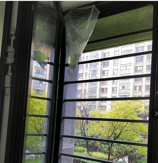 亚洲精品久久国产高清情趣