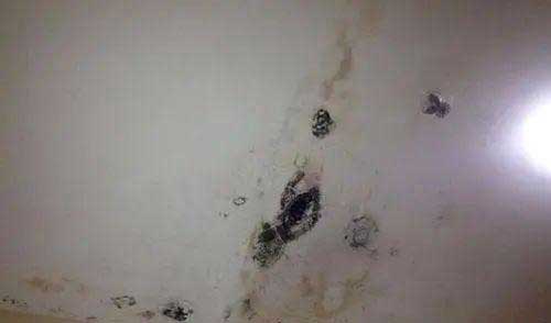 浙江地下室堵漏