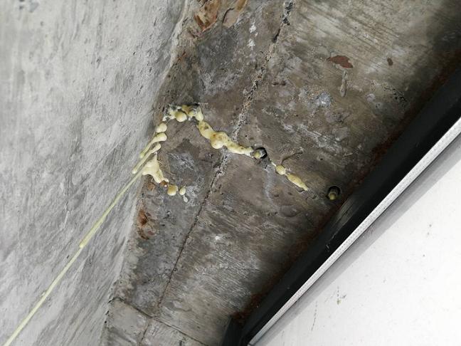 亚洲精品久久国产高清情趣