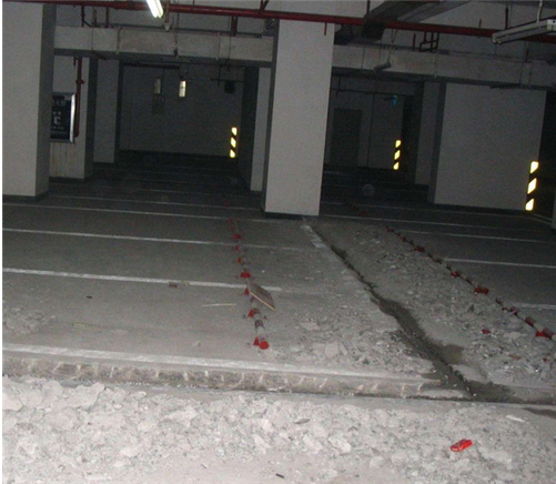 亚洲精品久久国产高清情趣