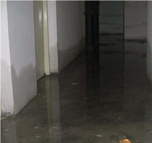 亚洲精品久久国产高清情趣