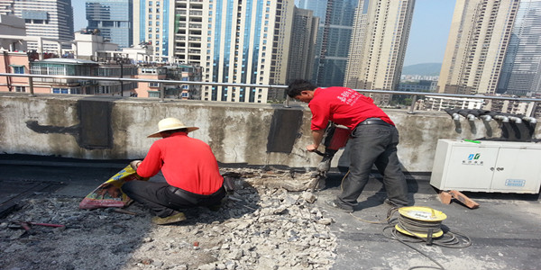 亚洲精品久久国产高清情趣