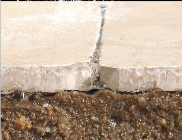 亚洲精品久久国产高清情趣